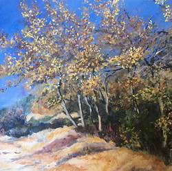 Chênes, automne (2020)
