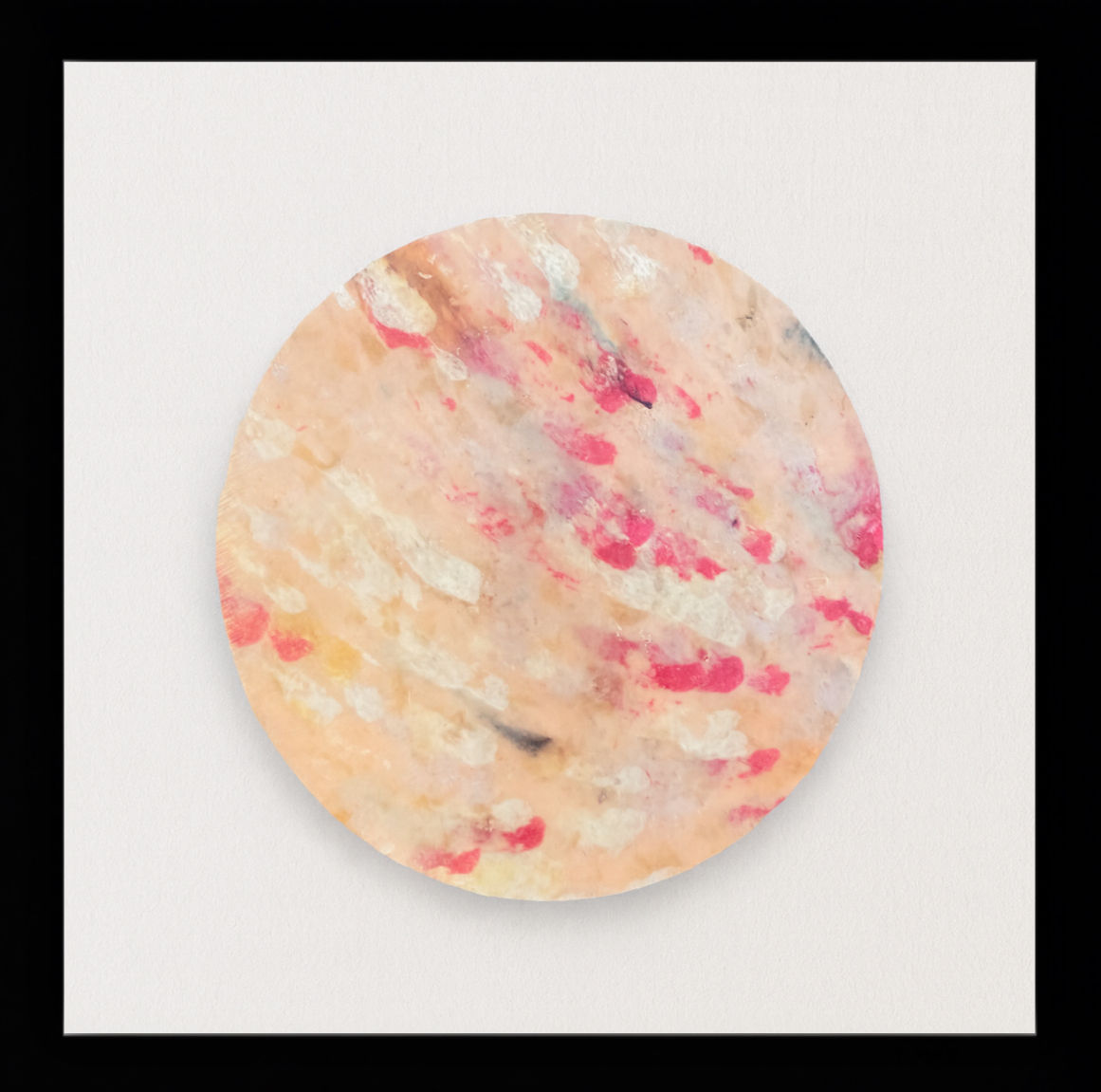 Wonder Creativity Festival  (6stuks) - LIMITED EDITION