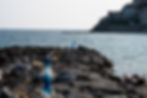 DSC_9915.jpg