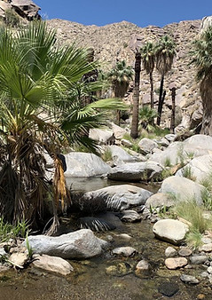 indian canyons.jpg
