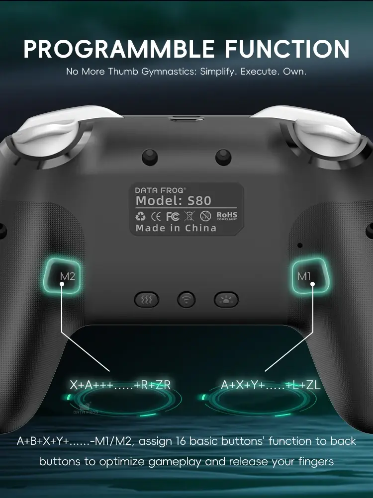Thumbnail: DATA FROG Wireless Game Controller for Switch / OLED / Lite / Switch 2 Console P
