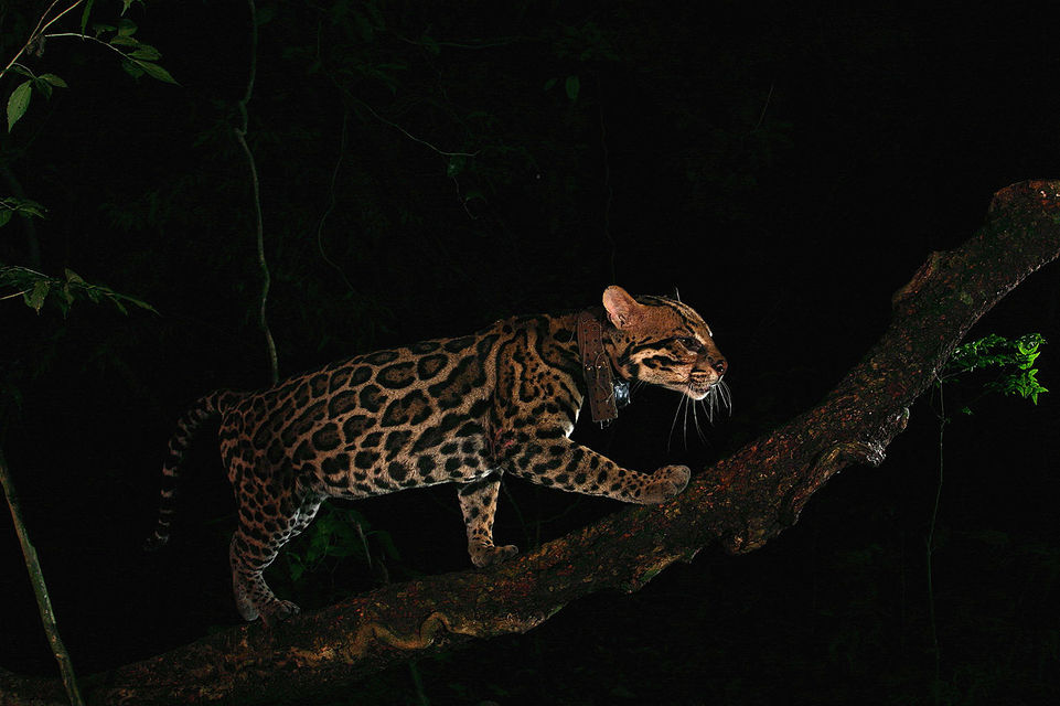 Christian-Ziegler-Photojournalist (1).jpg