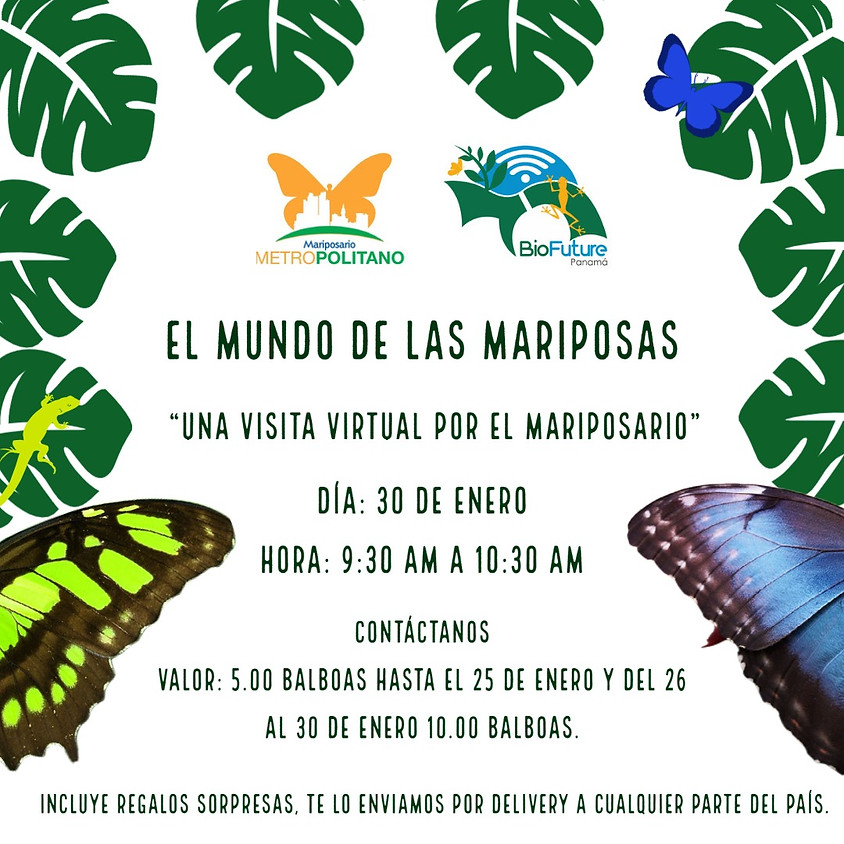 Gira Virtual por el Mariposario Metropolitano