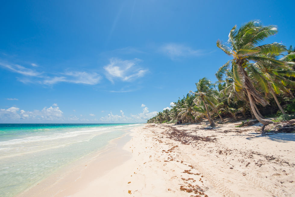 VISTA PLAYA.jpg