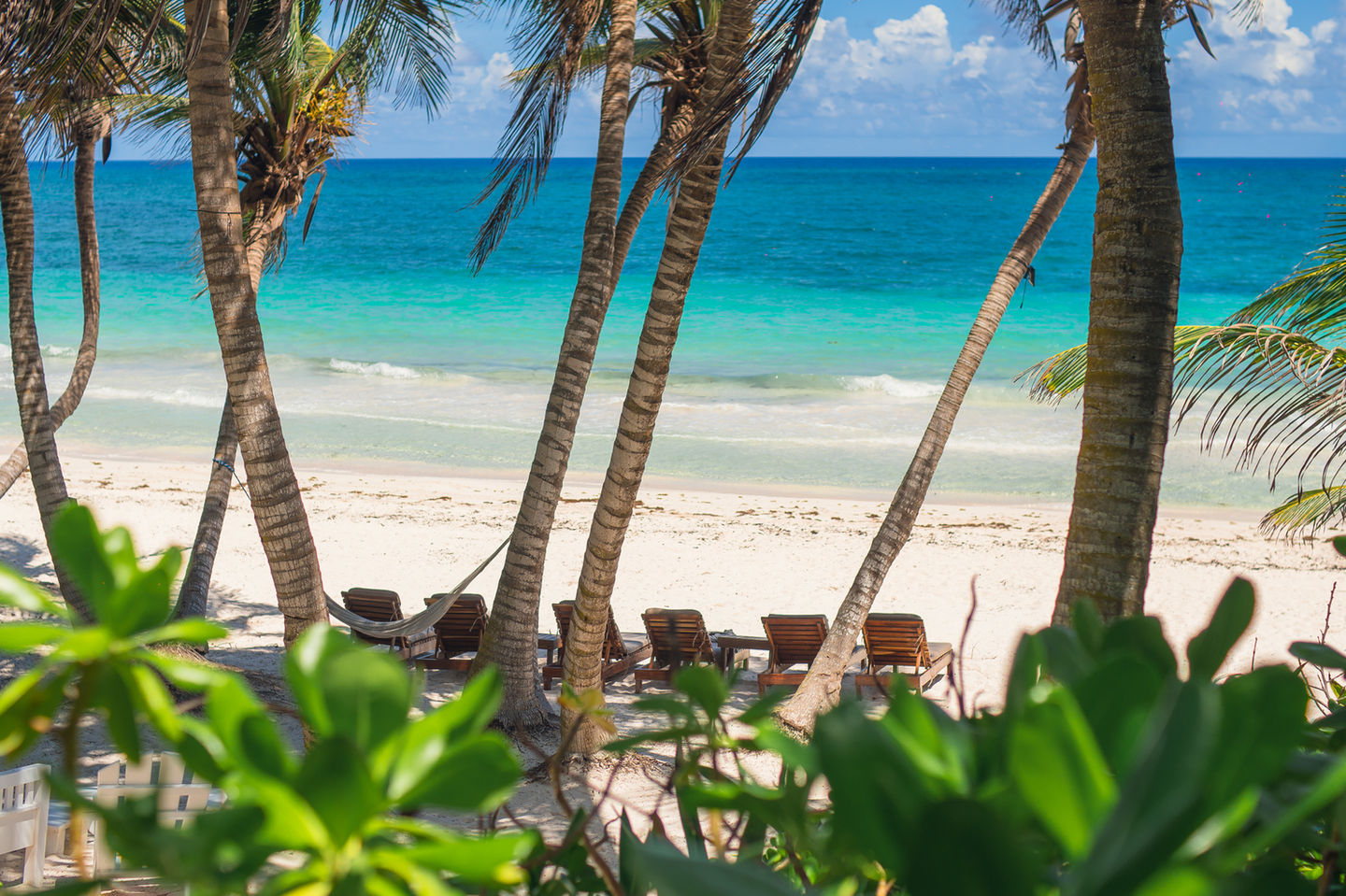 FOLLAJE VISTA AL MAR CON CAMASTROS.jpg