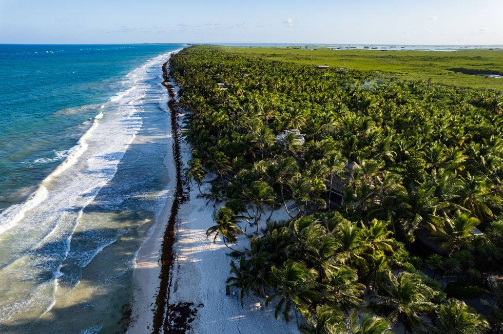 DJI_0818.jpg