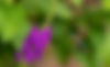 Image20240730204446_edited.jpg