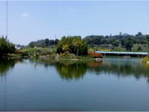 TIPS FOTO MENGGUNAKAN SMARTPHONE