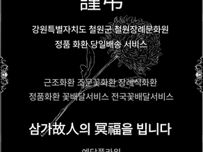 철원화환배달 철원장례문화원 근조화환 철원근조 철원조화 장례식화환 전국꽃배달서비스 철원화환 당일화환배송 근조조화