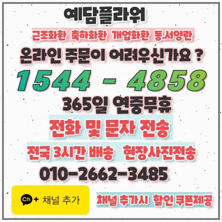 예담플라워 채널