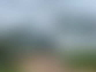 용인 평온의 숲