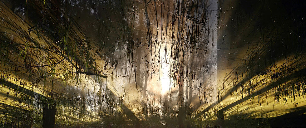 reflection