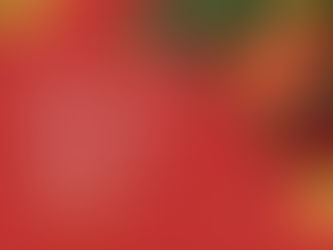 Que o novo ano seja próspero!