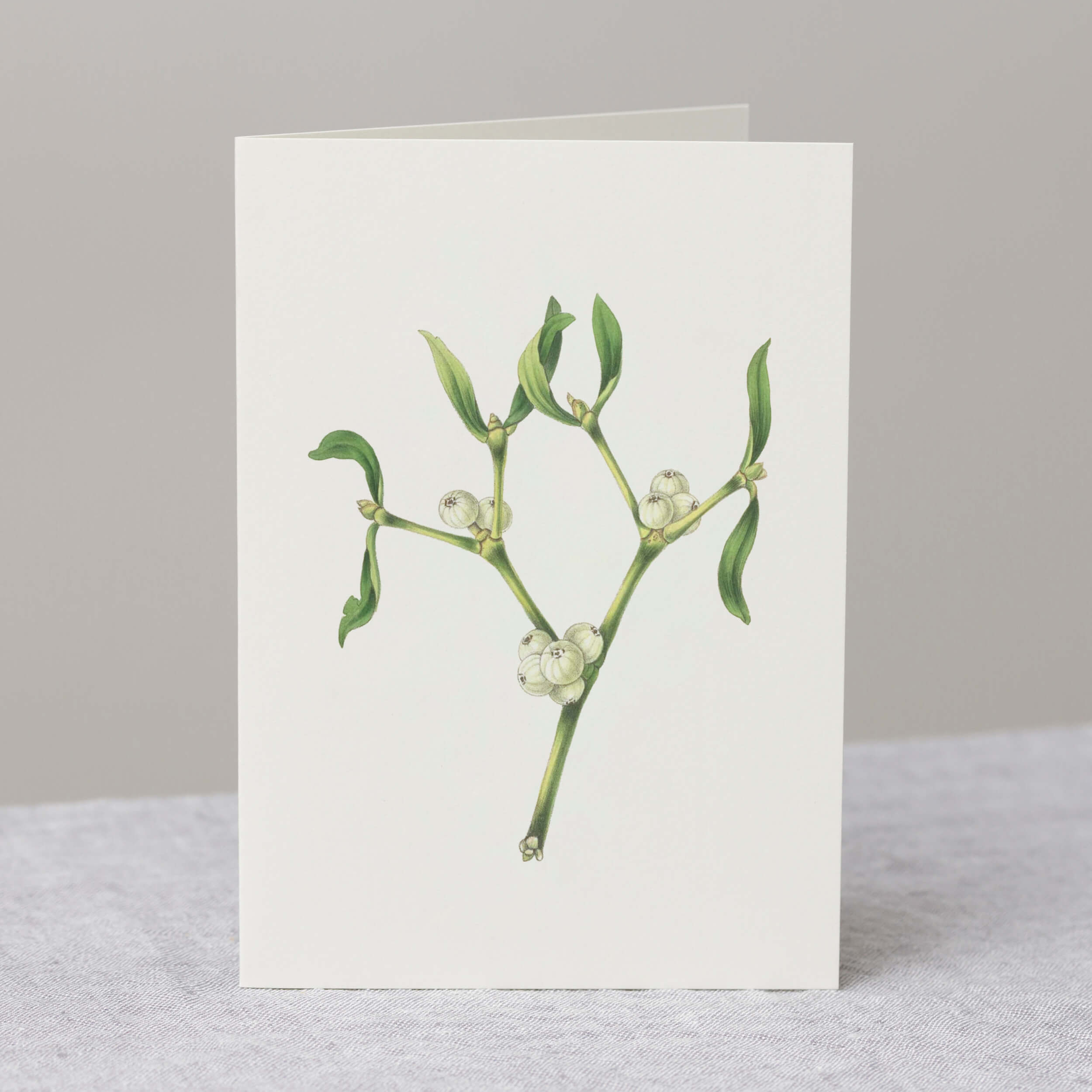 Fagyöngy ág üdvözlőlap borítékkal