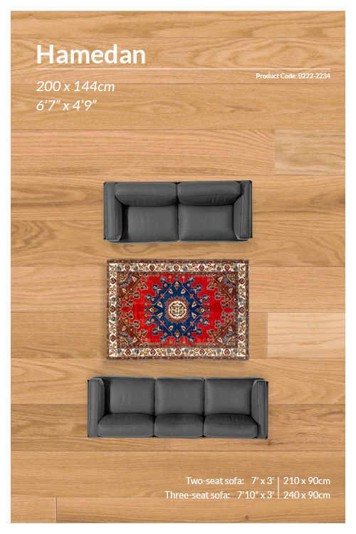 Thumbnail: Persian Fine Hamedan Rug - 200 x 144 cm - REF:0222-2234
