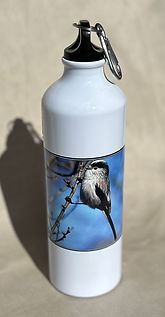 Botella con imagen de mito común