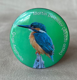 Imán con imagen de martín pescador común