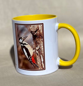 Taza con imagen de pico picapinos