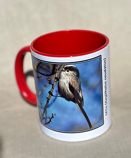 Taza con imagen de mito común
