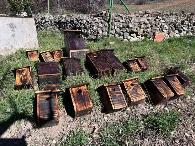 Colección de cajas nido colocadas en el suelo una vez terminadas y dispuestas para su colocación en el entorno