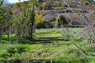 Zona de anillamiento