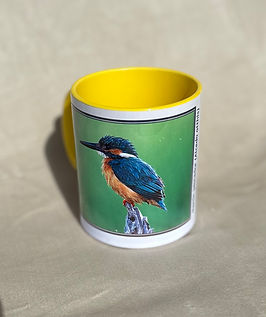 Taza con imagen de martín pescador común