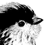 Logo de la asociación