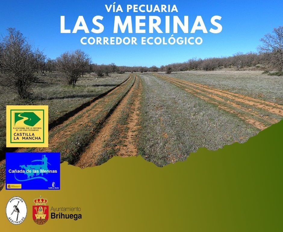 Cártel informativo sobre la via pecuaria de Las Merinas