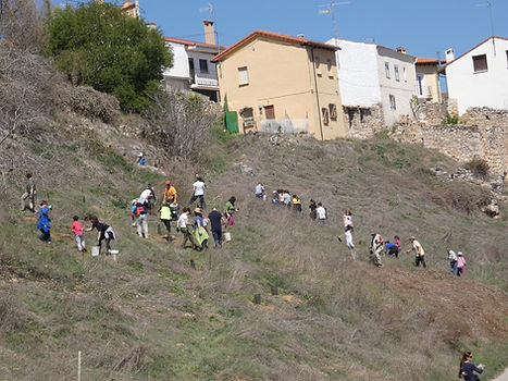 Voluntarios en una jornada de recogida de basura en el campo