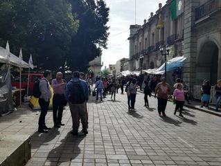Burócratas de Oaxaca agarran marchas de pretexto para no laborar