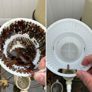 Many homeowners & untrained techs in Chico, skip emptying the pump basic, but not Apex Pools