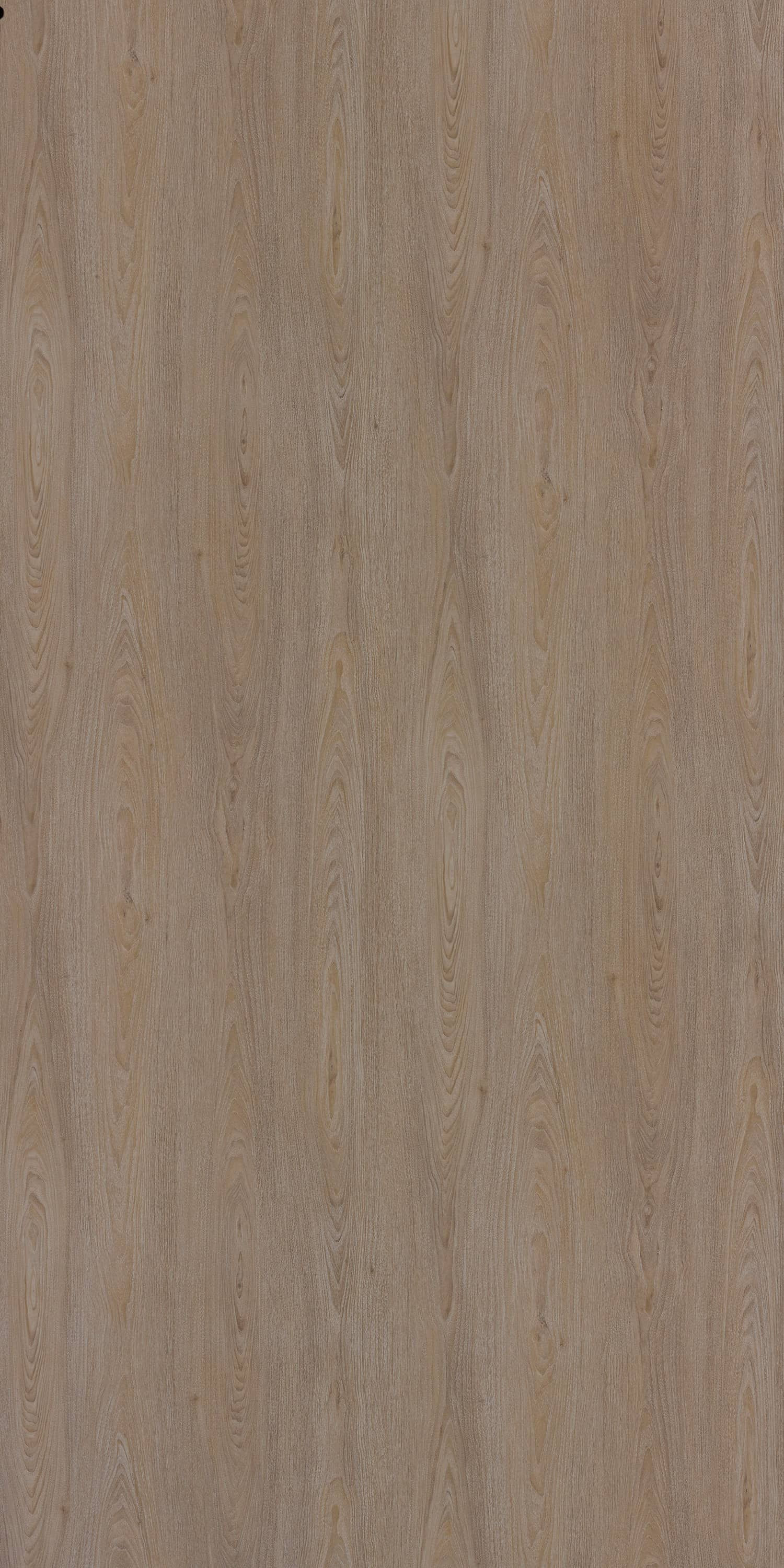 Century Ply Look Book Laminate Chikhali Walnut 2416 Np 4