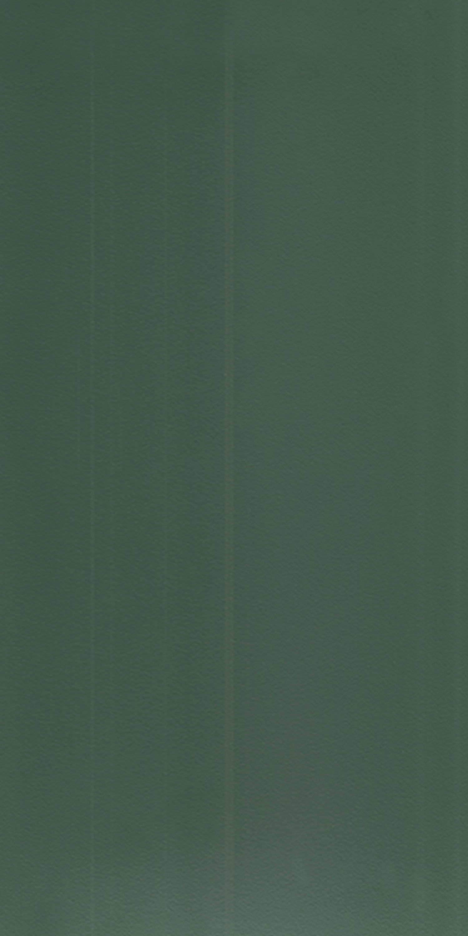 Century Ply Look Book Laminate Steel Green 281