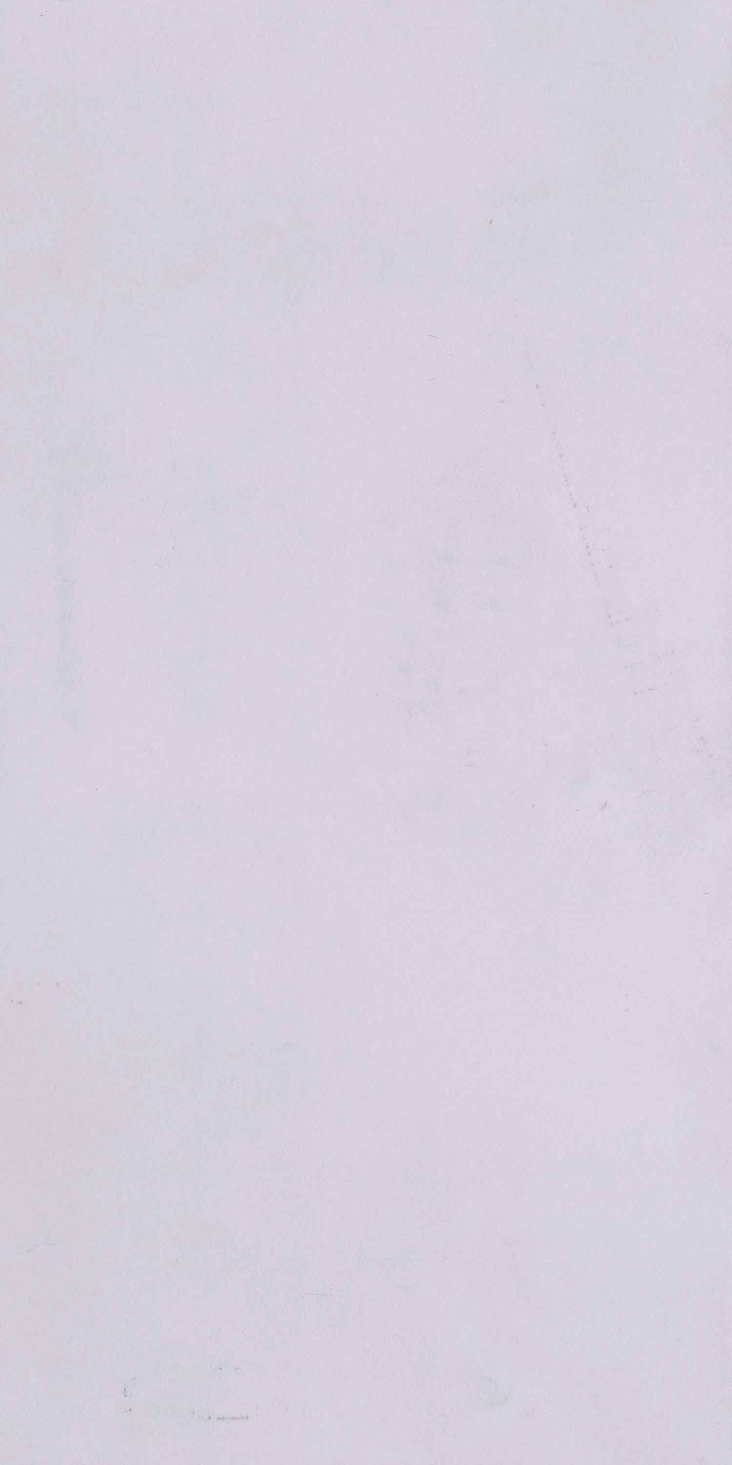 Century Ply Look Book Laminate Silver Brush 1001 Br