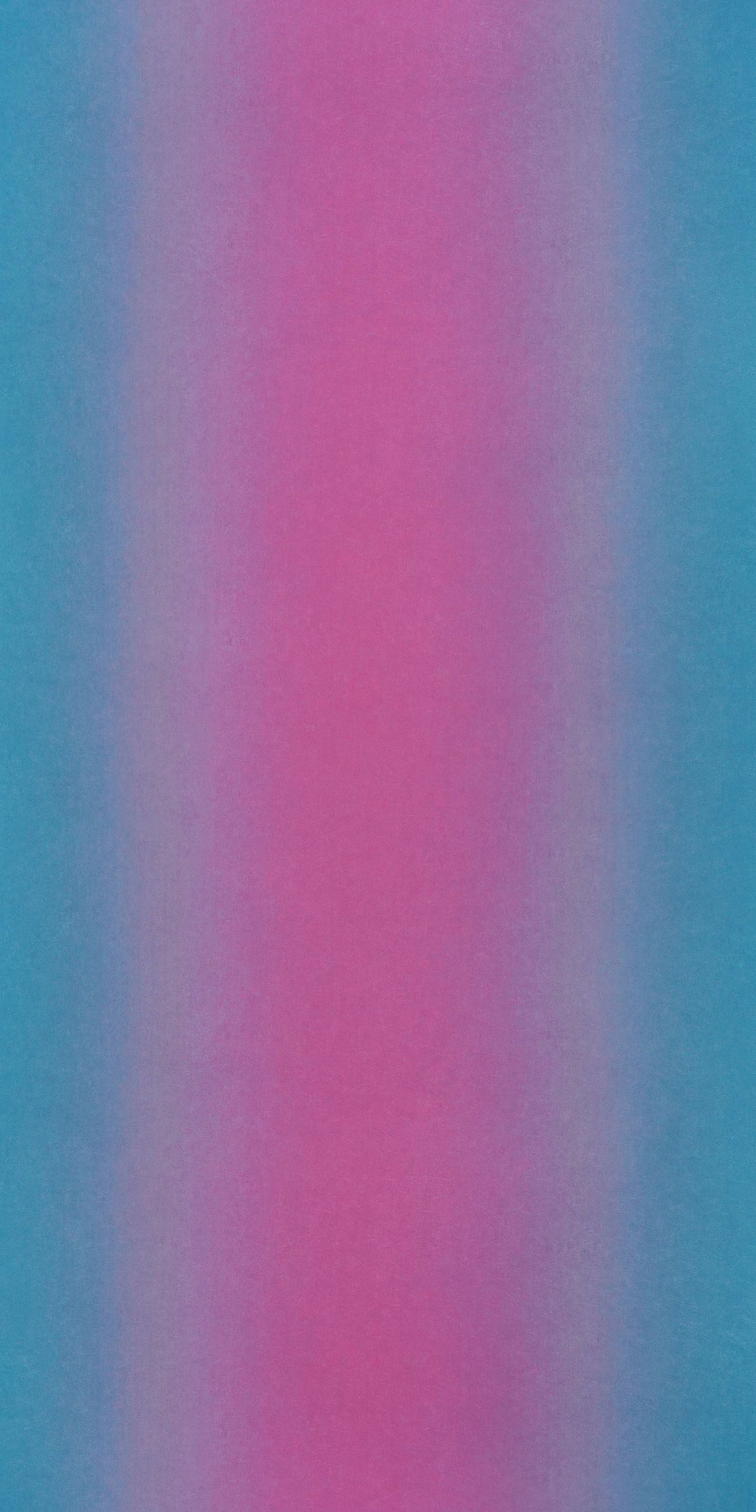 Century Ply Look Book Laminate Winter Gradient 3807 Al