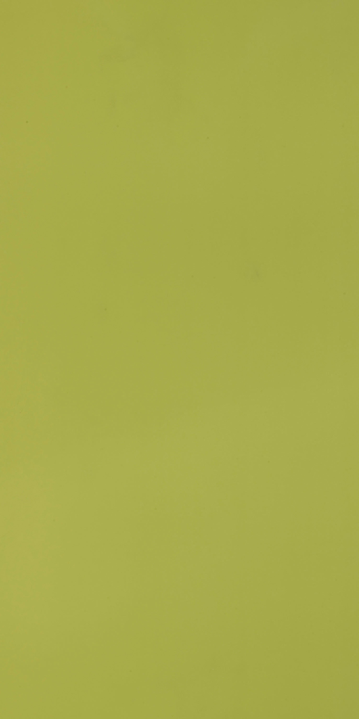 Century Ply Look Book Laminate Equinox Yellow 209 Lu