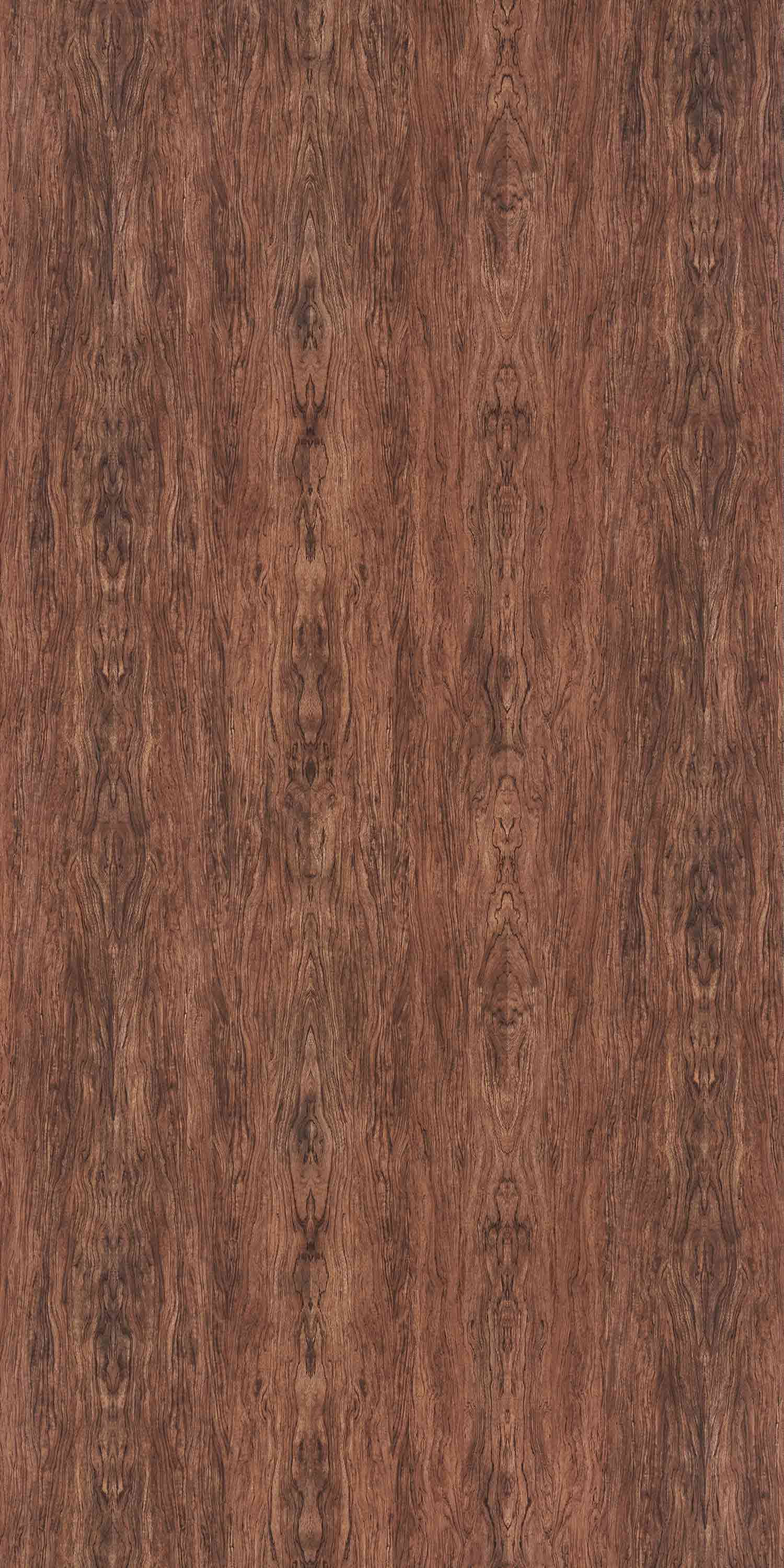 Century Ply Look Book Laminate Vector Bubinga 702