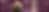 Crowned by Mist and Mandate Website Banner.png