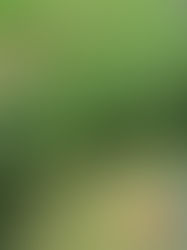 夏季休暇のお知らせ