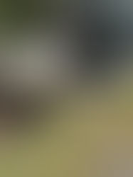 野久留米事業所(作業場)へお越しください