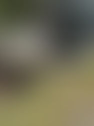 野久留米事業所(作業場)へお越しください