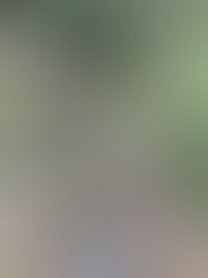 冬季休暇のお知らせ