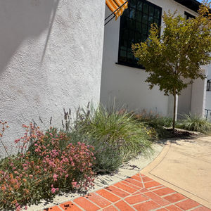 Arroyo Seco hillside property