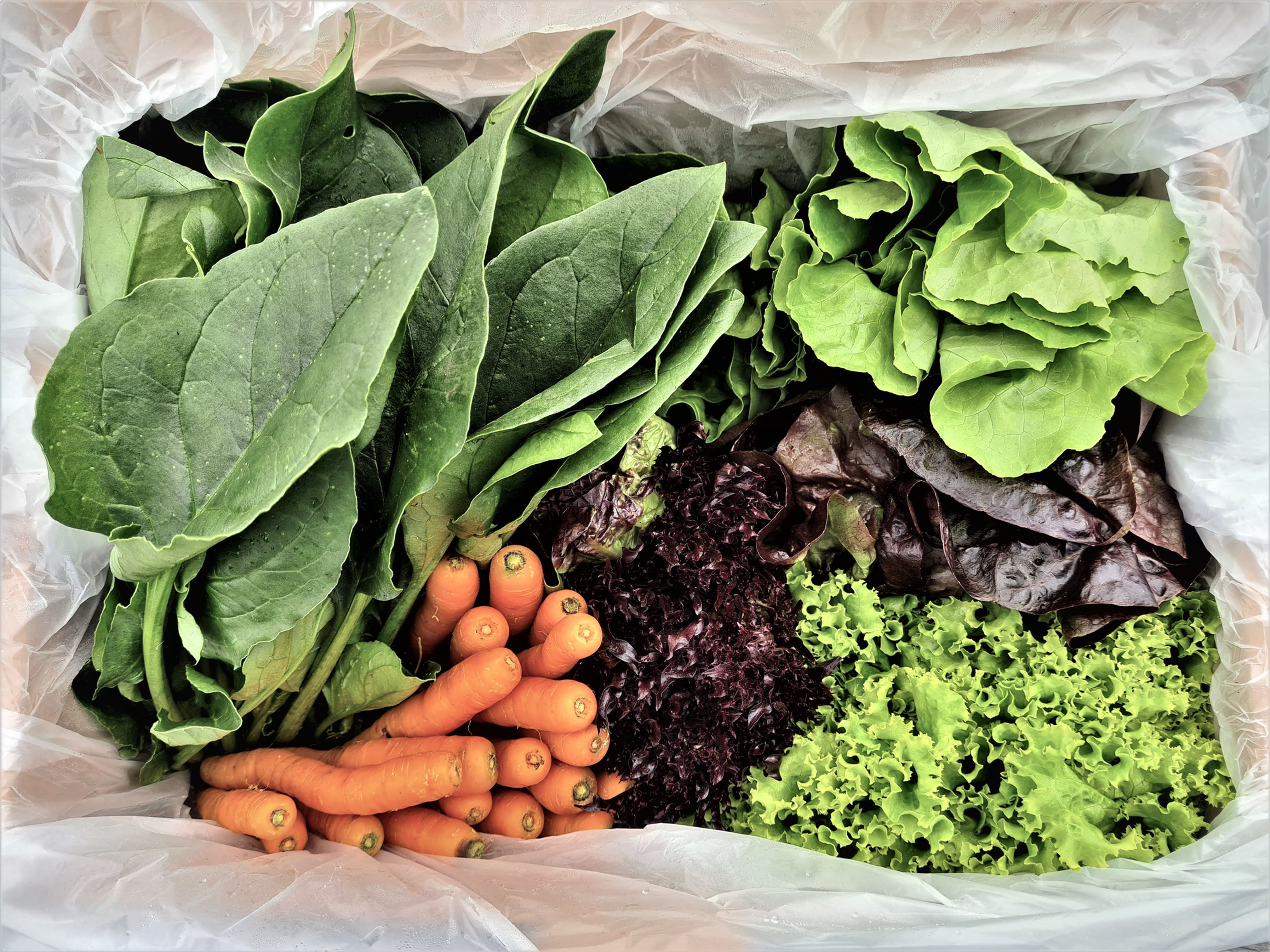 Caja Hortalizababy Mix 2