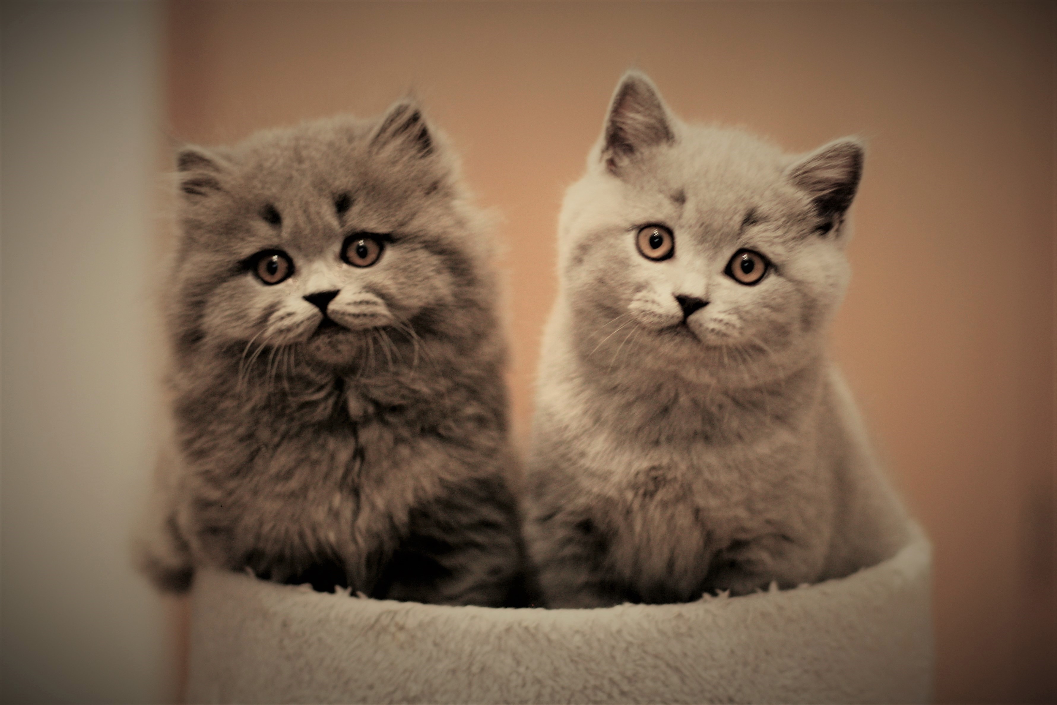 Barby+Balu