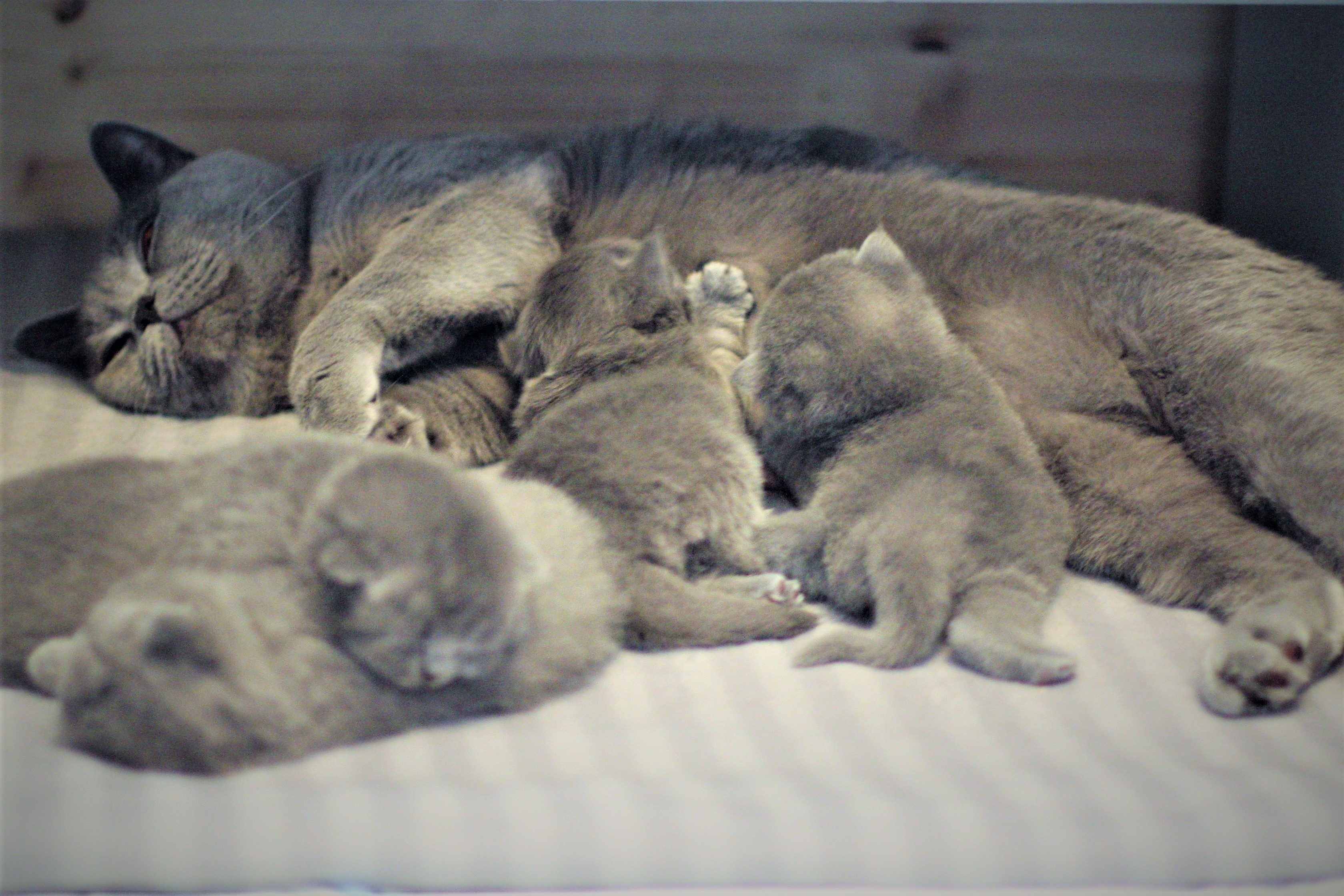 Mama ist die Beste!