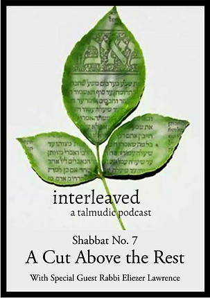 Interleaved-1 (1).png