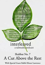 Interleaved-1 (1).png