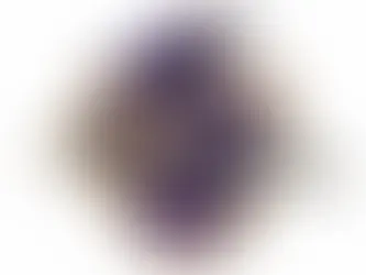 Unleash Your Team Spirit with the Baltimore Ravens Shield Logo SVG Designs