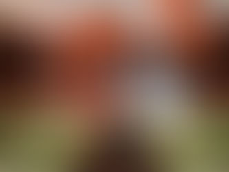 Cleveland Browns Logo PNG: Celebrate Team Spirit with High-Quality Graphics